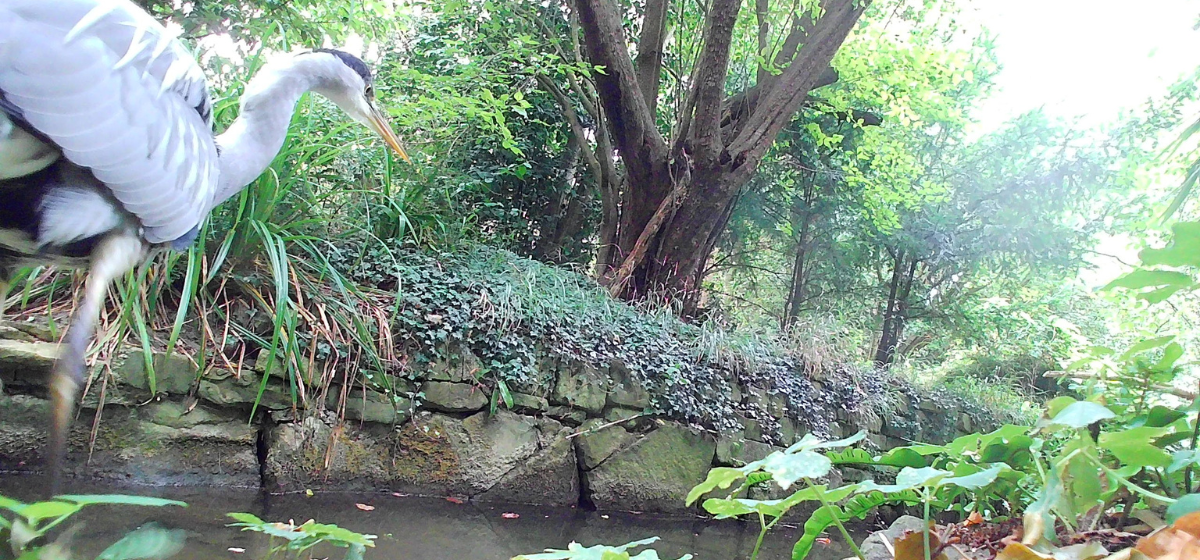 Birding bonanza at Trinity!