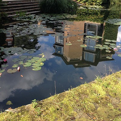 Reflection of Burrells Field in Bin Brook