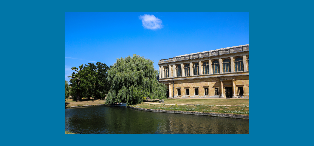 Trinity College and Cambridge University launch global hunt for new professor of sustainability