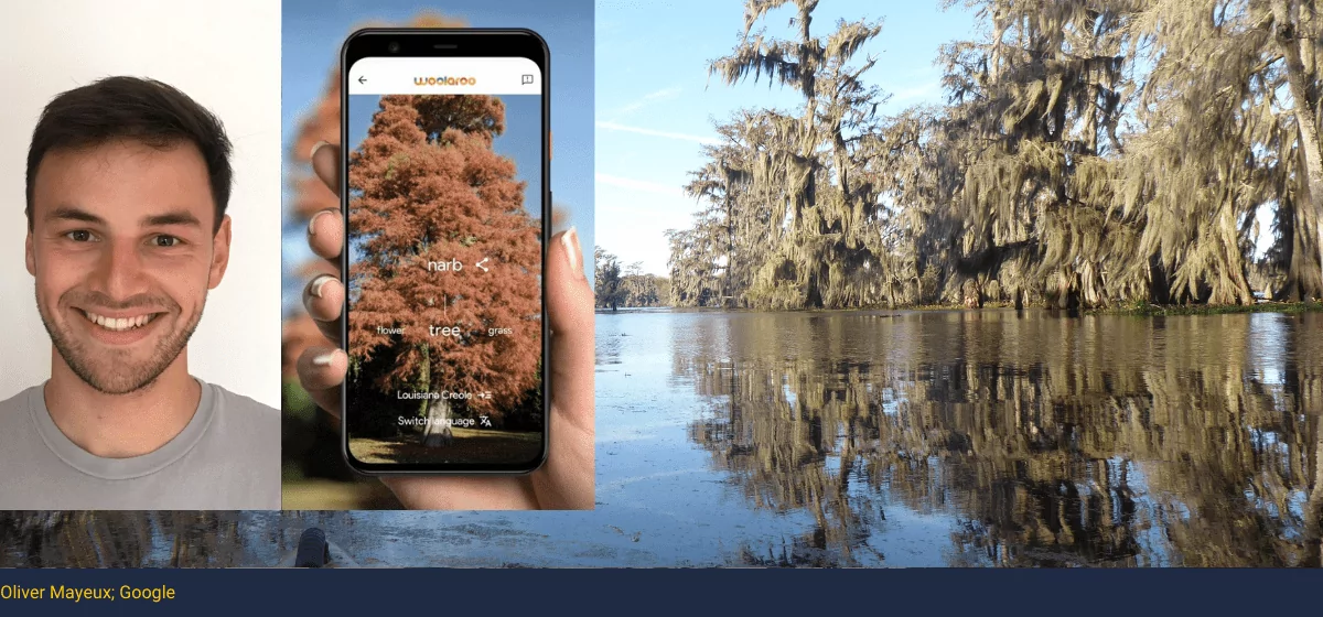 Revitalizing Louisiana Creole with a digital tool