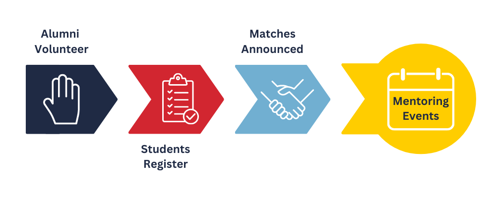 Mentoring Procedure new colours