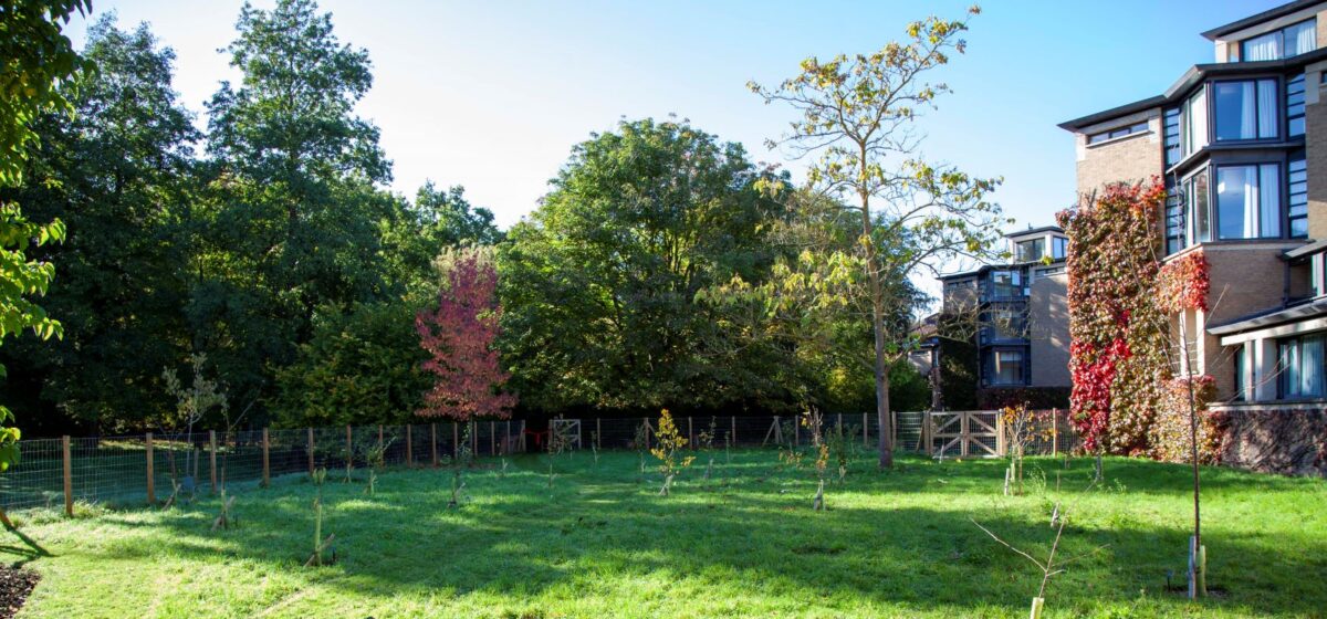 Celebrating Trinity’s new Orchard