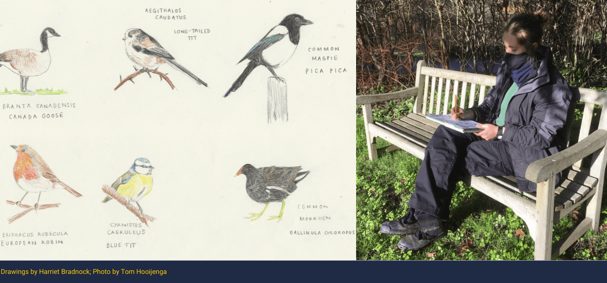 The Big Garden Birdwatch at Trinity