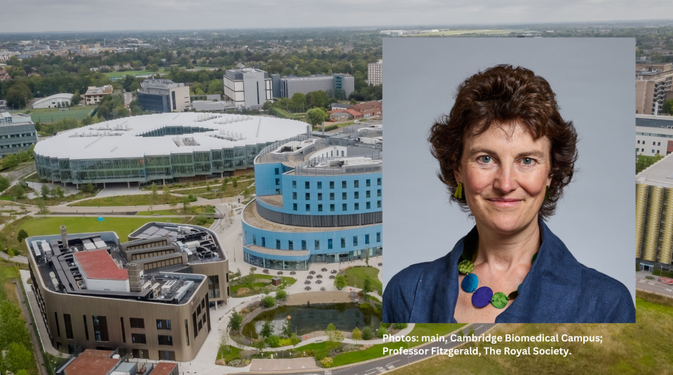 Professor Rebecca Fitzgerald’s ‘Innovation Alliance’ to tackle cancer