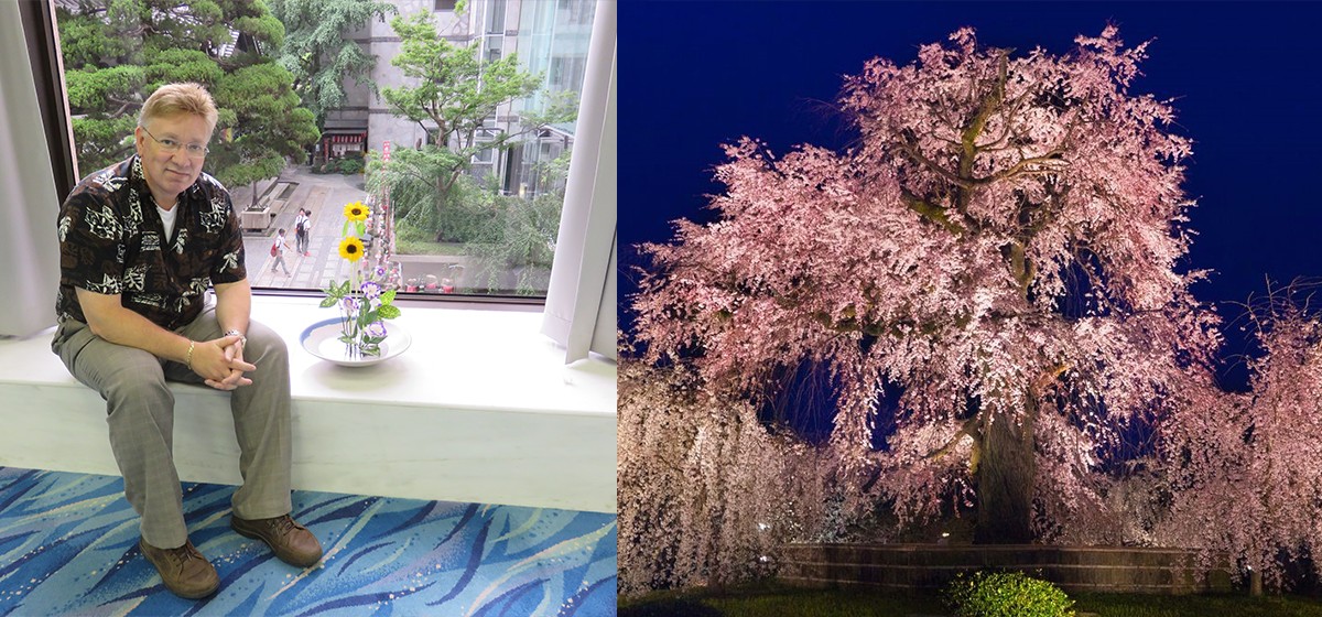 Reflections: Cherry Blossoms, Impermanence, And Pandemics