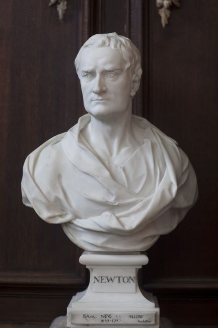 newtonbust