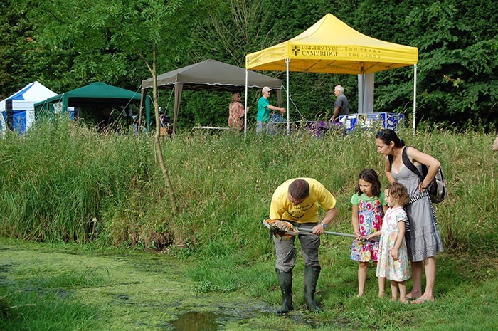 Family investigating a pond dipping sweep